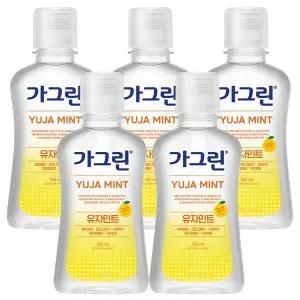 가그린 유자민트 100ml 5개