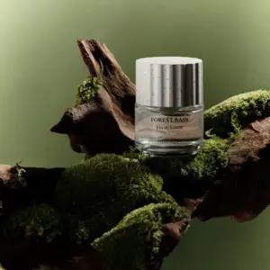 테일러센츠 포레스트 여자친구 선물 답례품 30ml