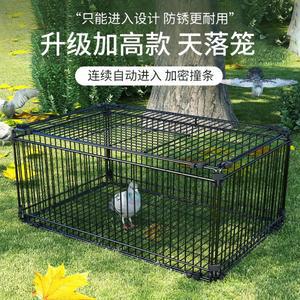 비둘기 덫 케이지 새잡기 2개 오리 야외 1 40x30x26cm 입구 양계장