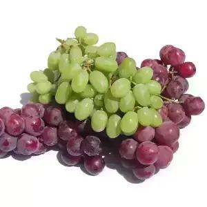 [농협6번]블랙포도/로즈카라멜/거봉(레드글러브)/크림슨 8.2kg내외 선택