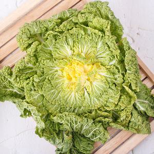 해남 제철 봄동 2kg