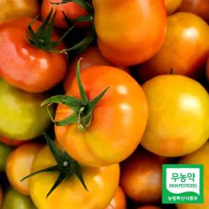세모농 친환경 무농약 토마토 3kg 5kg