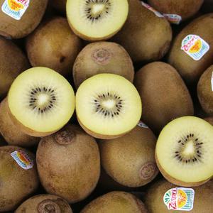 제스프리 제주 골드키위 59입(중소과 총 5.8kg내외)