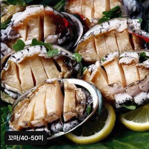 [NS홈쇼핑]완도 꼬마활전복 40-50미(미당 20g~25g)[33853122]