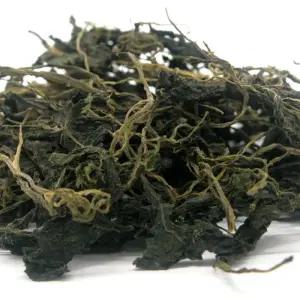 [초록한입] 국내산 곤드레나물 500g (강원 정선)