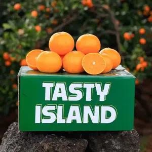 [품질보장]고당도 천혜향 2kg 소과 / 2개 구매시 4.5kg 발송