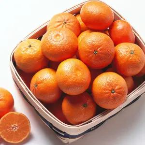 수입 감귤 고당도 만다린 귤 2kg 5kg