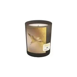 [갤러리아] [메모] 센티드 캔들 립스？180g (튜베로즈)