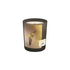 [갤러리아] [메모] 센티드 캔들 레반테？180g (레더)