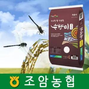 25년 햅쌀 조암농협 수향미 10kg 골드퀸3호