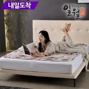 [내일도착] 26년형 시그니처 초절전형 워셔블 카본 탄소매트 전기매트 더블
