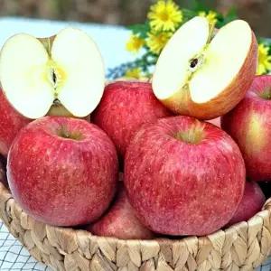 얼음골사과 20~22과 사과 / 밀양 소과 내외 10kg 대과