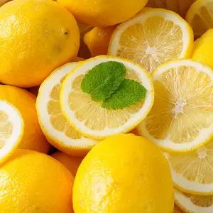 [전청프레시] 팬시등급 팬시레몬 대과 20과