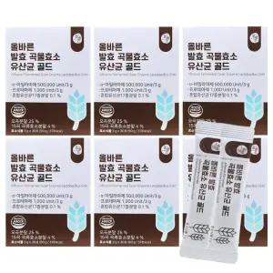 올바른 발효 곡물효소 유산균 골드 3g x 30포 6박스 HIS