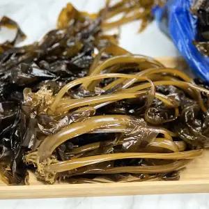 [하라네]완도산 생미역 물미역 자연산 햇미역 4kg