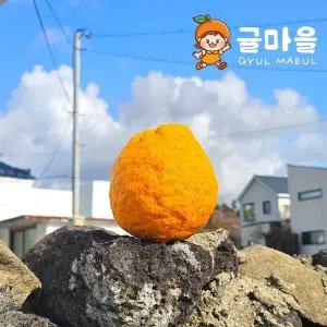 [귤마을] 제주 토종 댕유자 댕유지 9kg 혼합과