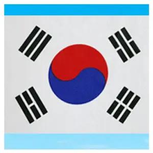 거리용 태극기(80x120cm) 태극기 국기 월드컵 응원용품