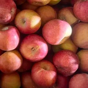 국내산 당도선별 A급 가정용 고당도 부사 사과 아침과일 빨간사과