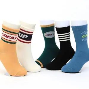 [하프클럽/셀러허브_여성트랜드패션]남아동 중목 컬러풀 양말 5개세트 N2505