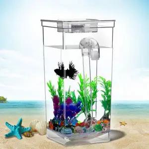 [콩심팥심]물고기 금붕어 키우기 무환수 미니 자동 청소 사각 어항