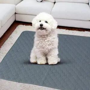 펫도그 빨아쓰는 배변패드 반려견 반영구배변패드 재