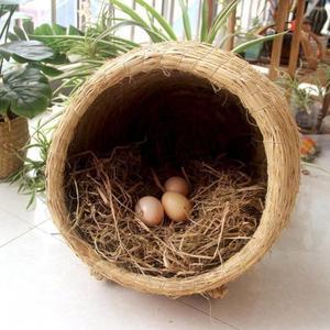 닭산란통 둥지 12구 분리형 계란 병아리 병화리 사육장 토끼집 방수 낳는 마리용 닭둥지