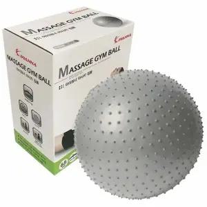 짐볼 65cm 실버 운동볼 트레이닝 마사지