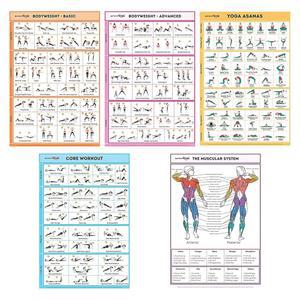 장비 없이 집에서 사용할 수 있는 SPORTAXIS 5팩 라미네이트 운동 포스터 색상 일러스트 체중 기본 빌딩 요가 복근 트레이닝 남녀 18x27인치
