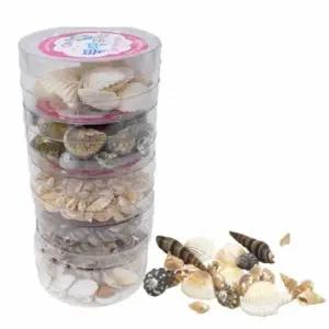 뚝딱 조개껍질 세트 부자재 5종 약50g 만들기 유아 어린이집 교구 재료