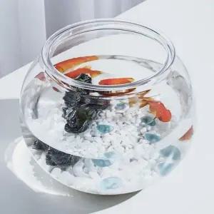 플라스틱 둥근 어항 원형 18X16cm 구피 베타 키우기