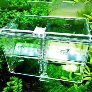 열대어격리통 흡착식 치어상자구피산란 프로박스 금붕어키우기 치어 어분리대 부화 어받이 어부화 어망