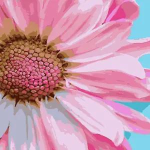 하모니아트 DIY 유화그리기 세트 40x50 코스모스그리기 취미생활 용품 그림그리기 페인팅 팝아트 홈인테리