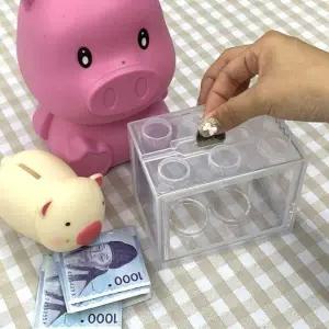 미니어항 키우기 블럭 마리모 투명