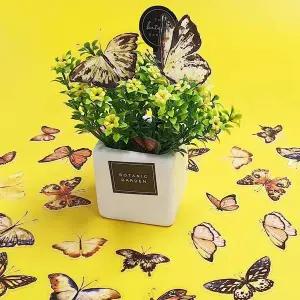 나비 스티커 세트 노랑나비 40P