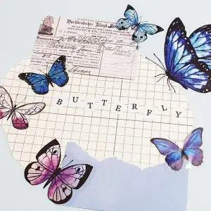 세트 40P 스티커 파란나비 나비