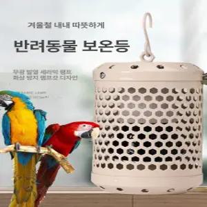 앵무새 온열등 병아리