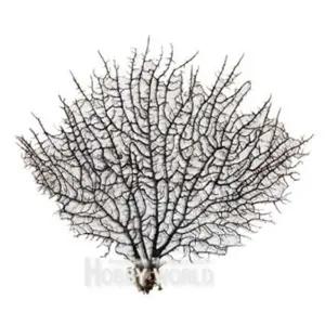 산호류를 말린 장식물 중수족관 장식품 수조 수조품 꾸미기 어항