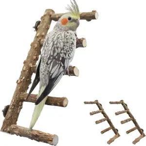 케이지용 2팩 새 사다리 농어 앵무새 스탠드 장난감 천연 가시 재 나무 등반 중소형 잉꼬를 위한 케이지