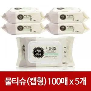 하늘 선물 물티슈 캡형 100매x(5개) 휴대형 유아