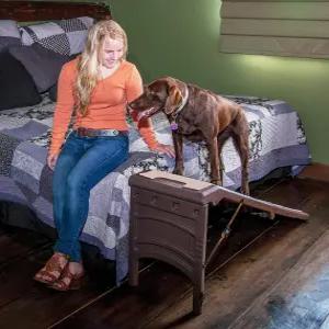 고양이와 개를 위한 펫 기어 프리 스탠딩 램프 조립 필요 없음 보관 또는 여행용 간편한 접이식 휴대용