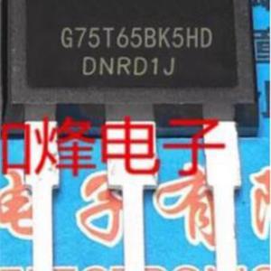 제품 수량: 10개  IC G75T65BK5HD