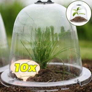 1-10PCS Clear Plant Cloches 재사용 가능 묘목 보호 커버 습도 동결 서리 가드 돔 벨 가든 성장 컵