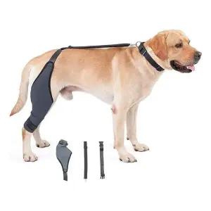 L 애견용품 보호대 관절 강아지 탈구 보호밴드 산책