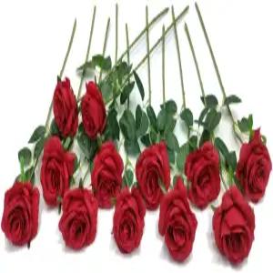 라엘프 12개 인조 레드 로즈 플라워 롱 스템 가짜 실크 가정용 웬딩 장식용 (빨간색)