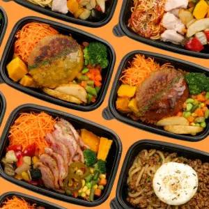 [풀럽잇] 저당 냉동 단백질도시락 14종 전제품 세트