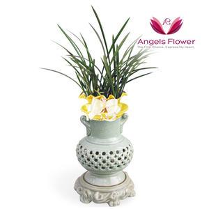 [엔젤스플라워] 철골소심 고급형 투각분 동양란 관엽식물 전국 꽃배달서비스