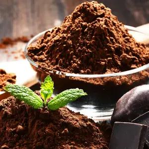 초콜릿 다크초콜릿100% 무설탕 대용량 카카오매스 다크100 파우더, 1kg, 2개