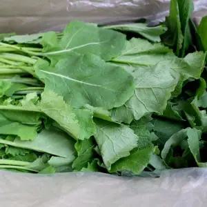 국내산 유채4kg/유채나물/봄나물/자연대로팜웨이