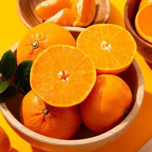 [미식한가] 제주 서귀포 노지 천혜향 (혼합과) 3kg