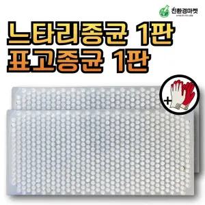 느타리 +표고버섯종균 캡슐형 총알 나무버섯 재배 세트